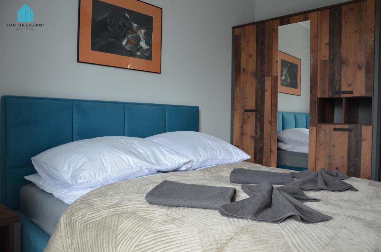 Pod Brzozami Apartamenty Gaski Buitenkant foto