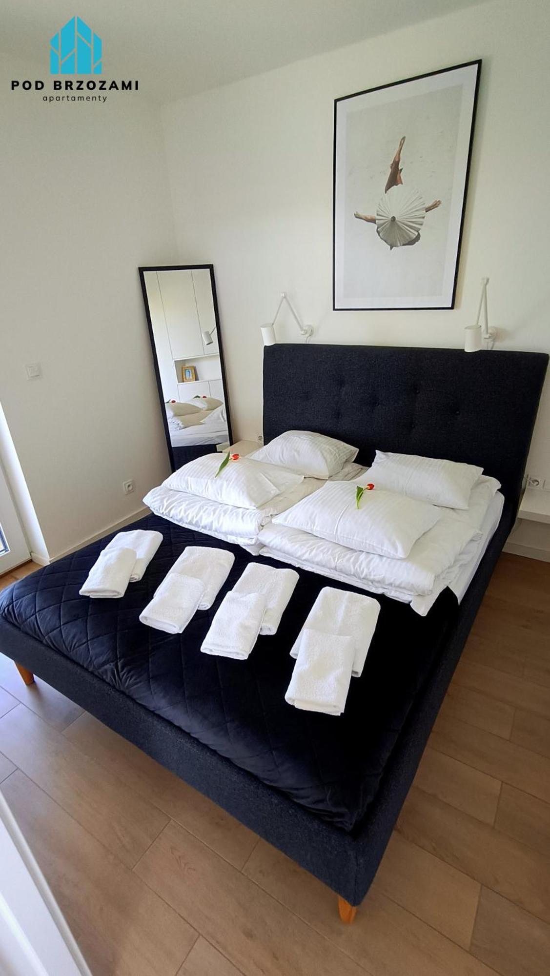 Pod Brzozami Apartamenty Gaski Buitenkant foto